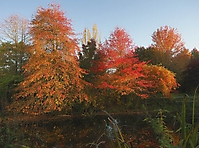 Bild 12 - Herbsttraum