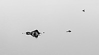 Bild 01 - Schöne ruhige Wasserlandschaft
