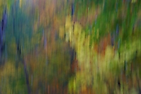 Bild 04 - Impressionistisch