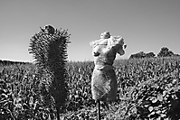 Bild 03 - Landlust