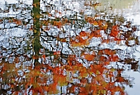 Bild 05 - Herbstmoment