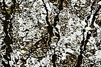 Bild 05 - Herbstlich