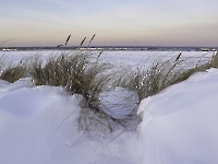 Februar 2026