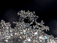 Bild 11 - Eiskristallkunst