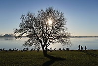 Bild 05 - Nachmittags an der Elbe