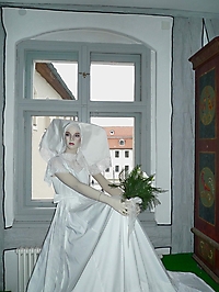 Bild 13 - Brautkleid