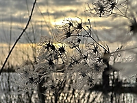 Bild 14 - Wintersonne