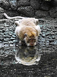 Bild 15 - Spiegelung