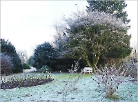 Bild 04 - Winterimpression