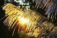 Bild 02 - letztes Sonnenlicht