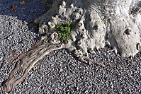Bild 08 - ohne Titel