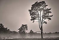 Bild 07 - Kalter Wintermorgen