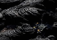 Bild 09 - Schwarze Lava - neues Leben