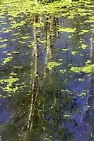 Bild 14 - Spiegelung