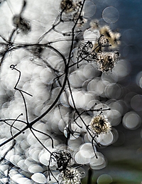 Bild 13 - Lichtspiel