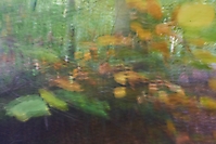 Bild 05 - Herbstwald