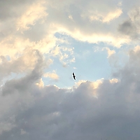Bild 13 - Lichtblick