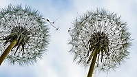 Bild 05 - Abflug