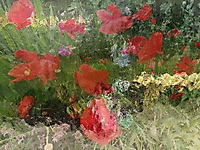 Bild 08 - Bunte Tupfer