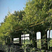 Bild 14 - S-Bahnfahrt ins Grüne
