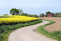 Bild 09 - Norddeutsche Landschaft