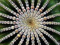 Bild 07 - Solar