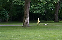 Bild 06 - Dame mit Hund