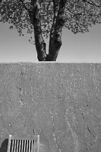 Bild 10 - Gartenmauer