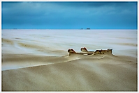 Bild 02 - Strandgut