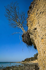 Bild 10 - Steilküste