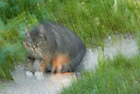 Bild 03 - (v)erwischt
