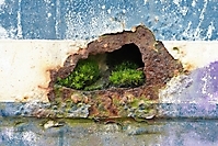 Bild 09 - Oase