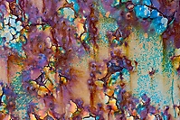 Bild 02 - Bunter Rost
