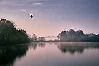 Bild 03 - Flug über den Wollnysee