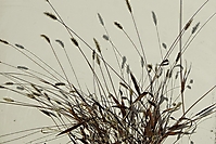 Bild 06 - Natur