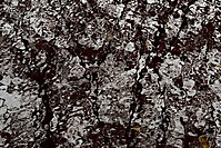 Bild 05 - Spiegelung