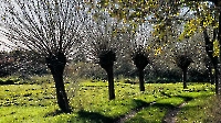 Bild 01 - Köpfe