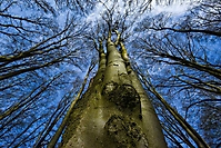 Bild 07 - Hoch hinaus