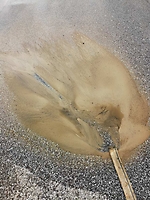 Bild 13 - ohne Titel