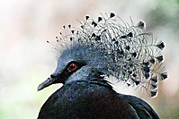 Bild 04 - Haute Coiffure