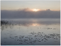 Bild 05 - Sonnenaufgang über dem Morgennebel