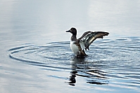 Bild 03 - Bereit zum Abflug