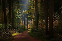 Bild 01 - Oktobermorgen
