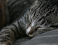 Bild 06 - Sleep