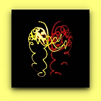 Bild 08 - Leuchtspuren-Schmetterling
