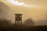 Bild 02 - Abendlicher Herbstausritt