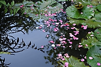 Bild 06 - September