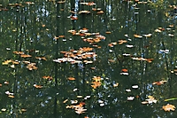 Bild 03- Still ruht..