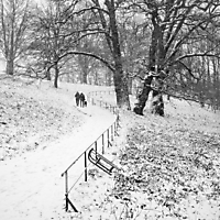 Winter 01