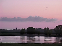 Morgendämmerung bei Lenzen